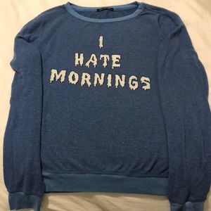 Blue Wildfox Sweater